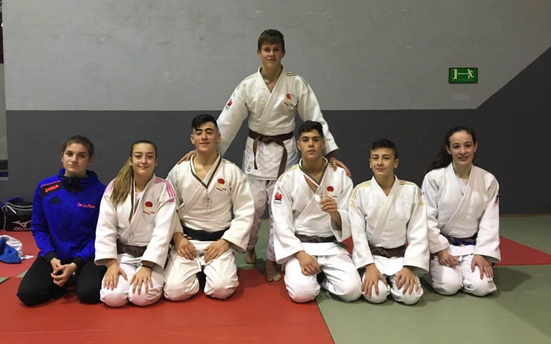 Resultados de judokas Cántabros en el XXV Trofeo de Judo, Villa de Amurrio