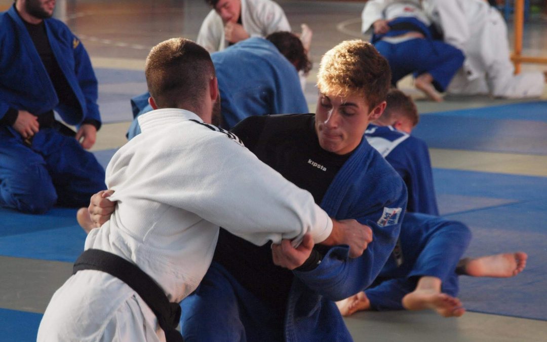 Judokas de las categorías infantil, cadete y junior becados para el II Stage Daedo de Suances.