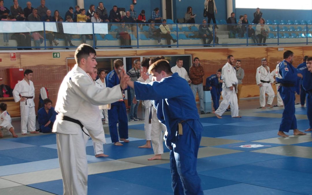 Resultados,Ranking Infantil y Cadete 2019