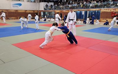 Juegos de Competición Benjamín