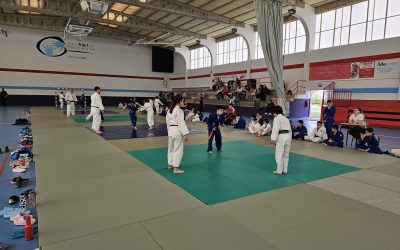Entrenamiento Federativo y Juegos de Competición Alevín