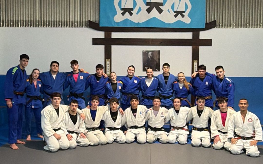 Entrenamiento federativo