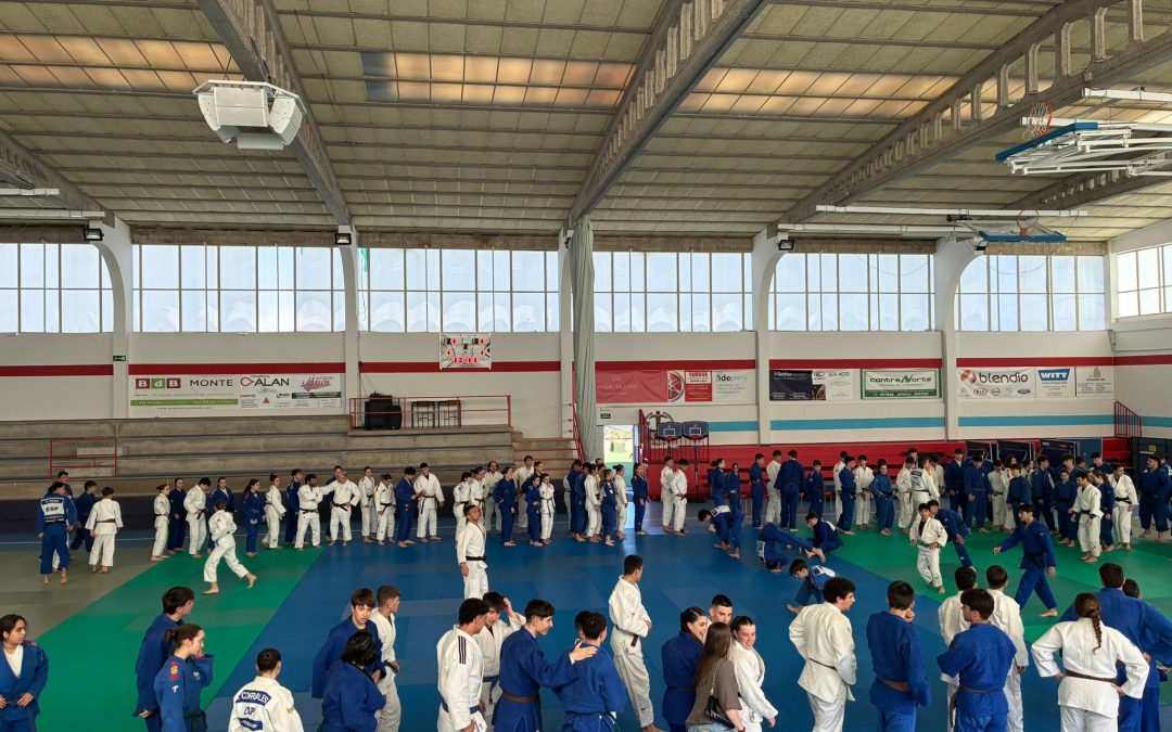 Entrenamiento federativo