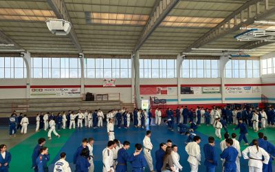 Entrenamiento federativo