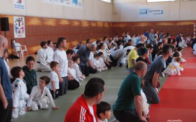 Jornada de judo en familia
